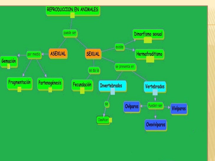 Reproduccion asexual en plantas ejemplos de mapas Reproduccion asexual en plantas ejemplos de mapas